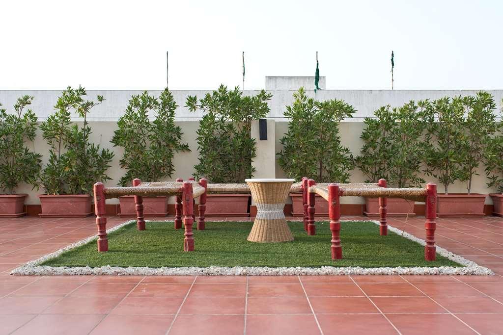 Shada Al Zahra